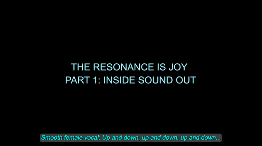 The Resonance is Joy Part 1: Inside Sound Out
